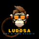 ludosa_logo